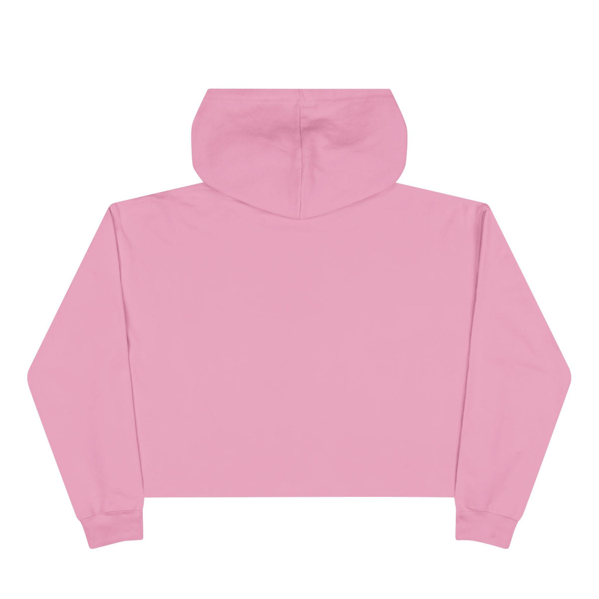 Old School Crop Hoodie