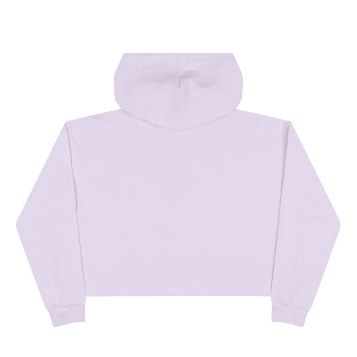 Old School Crop Hoodie